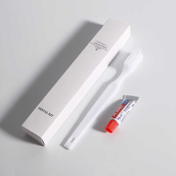 Hotel Airbnb Dental Kit with Mini Toothpaste